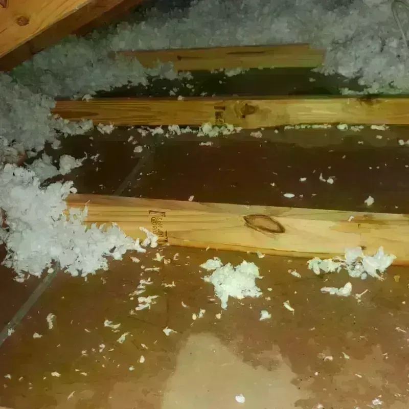 Attic Water Damage in Le Center, MN