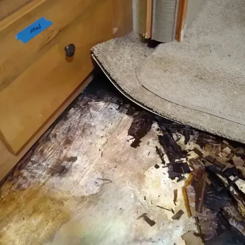 Best Wood Floor Water Damage Service in Le Center, MN